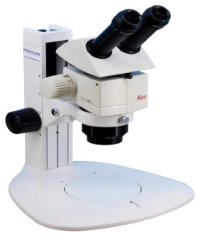 Fig. 9