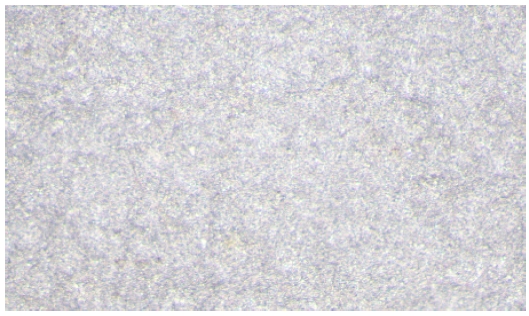 Fig. 24