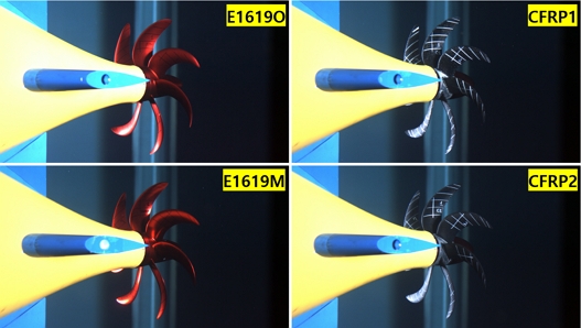 Fig. 10